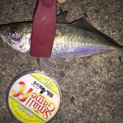 アジングは難しい・・・